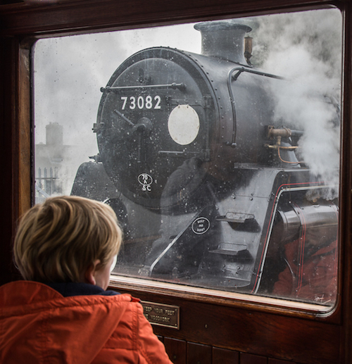 OBSERVING 'CAMELOT' 1.JPG