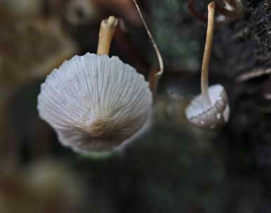 hanging-on.jpg